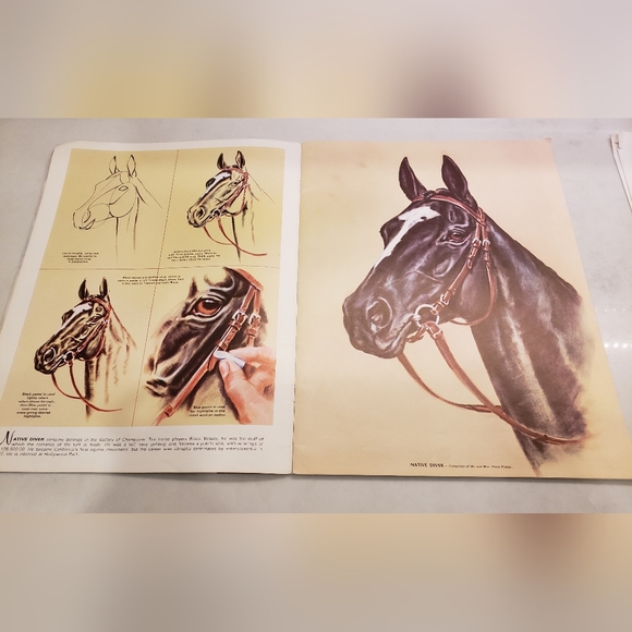 Horses Heads In Oils and Pastels by Don Schwartz - Picture 6 of 12